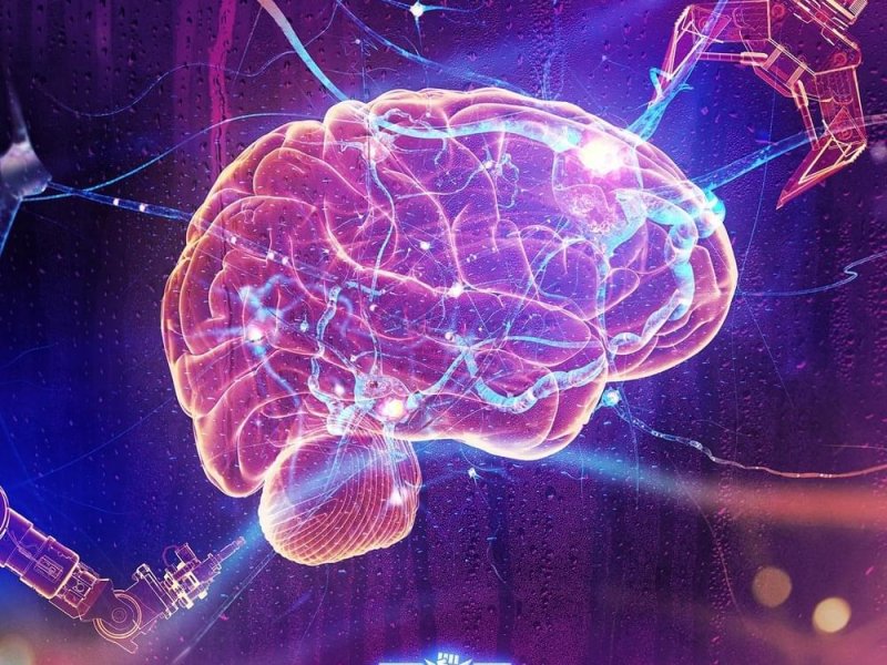 Rebelion – In Control